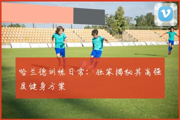 哈兰德训练日常：独家揭秘其高强度健身方案